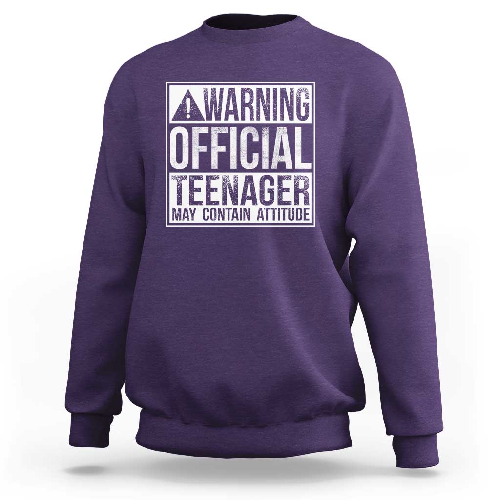 13th Birthday Sweatshirt Warning Official Teenager Boy 13yr