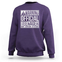 13th Birthday Sweatshirt Warning Official Teenager Boy 13yr