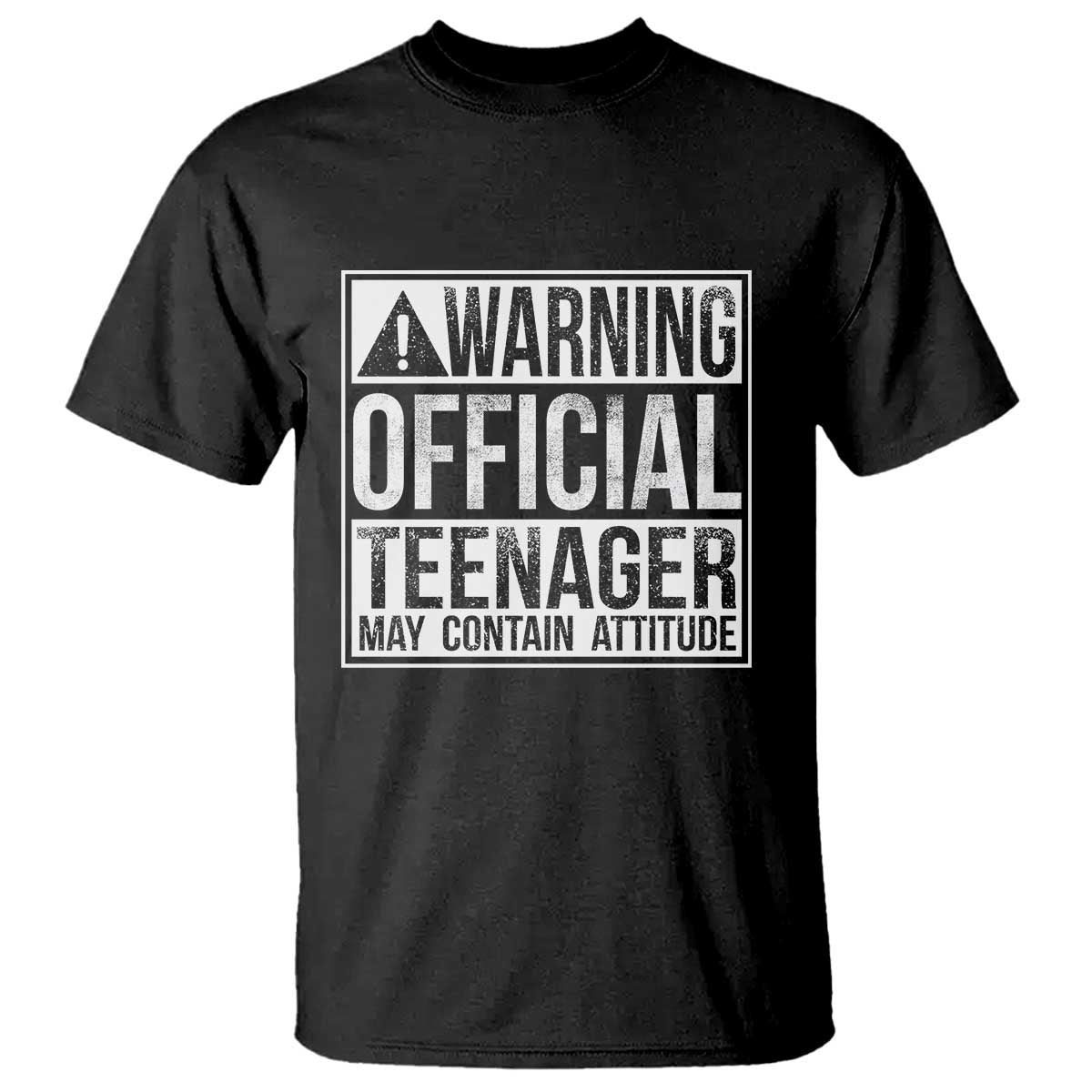13th Birthday T Shirt Warning Official Teenager Boy 13yr