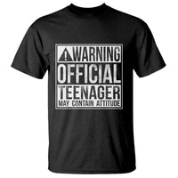 13th Birthday T Shirt Warning Official Teenager Boy 13yr