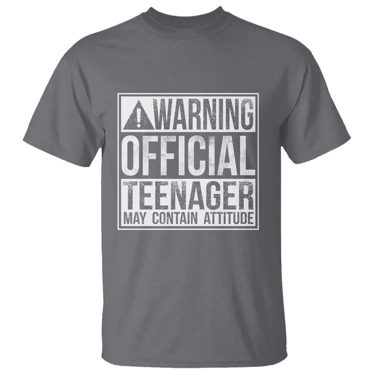 13th Birthday T Shirt Warning Official Teenager Boy 13yr