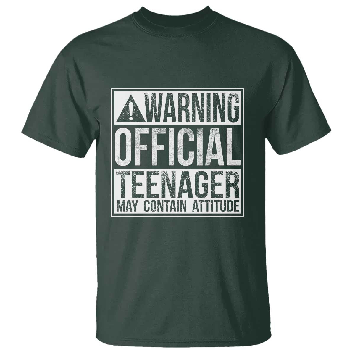 13th Birthday T Shirt Warning Official Teenager Boy 13yr