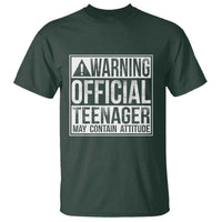 13th Birthday T Shirt Warning Official Teenager Boy 13yr
