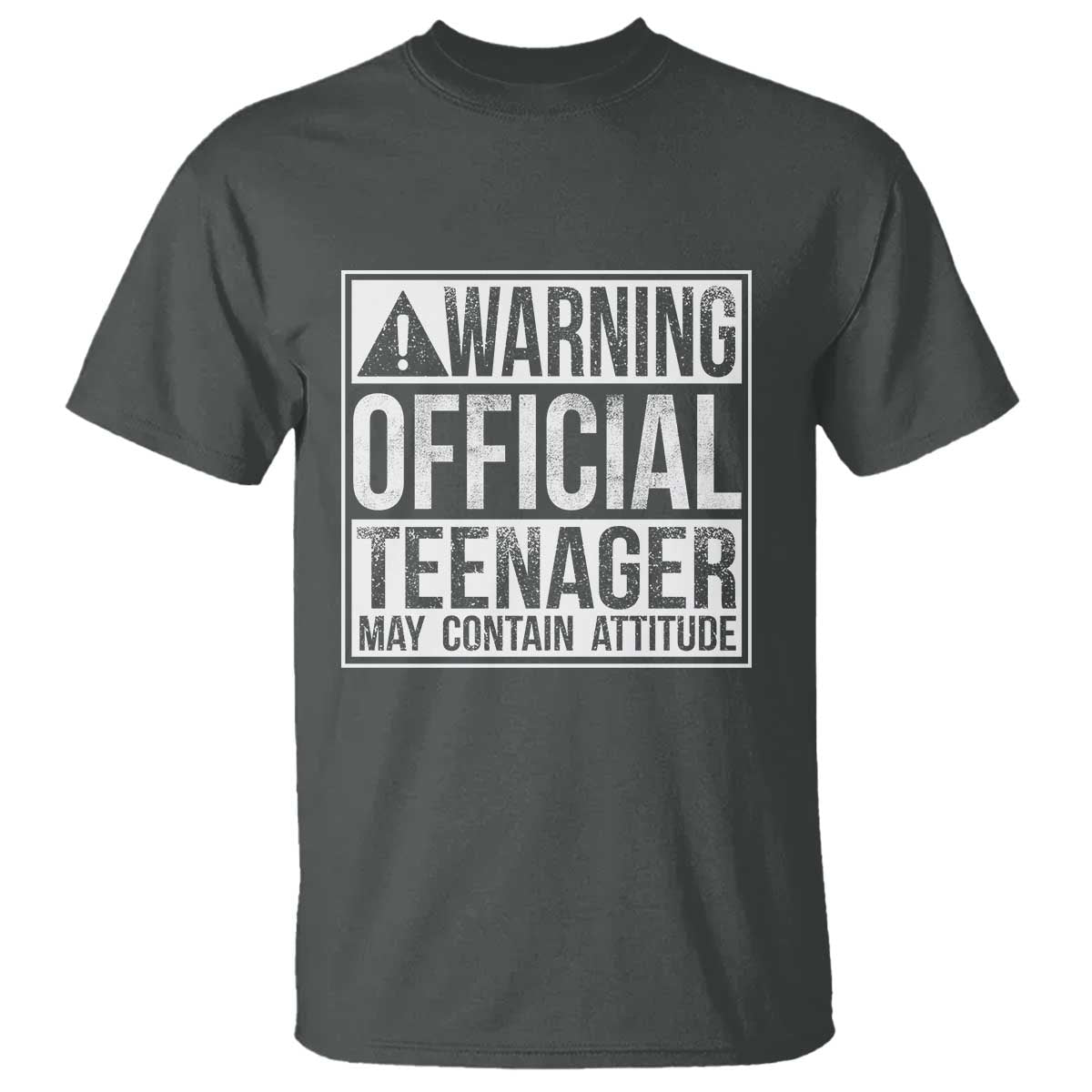 13th Birthday T Shirt Warning Official Teenager Boy 13yr