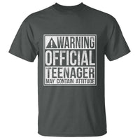 13th Birthday T Shirt Warning Official Teenager Boy 13yr