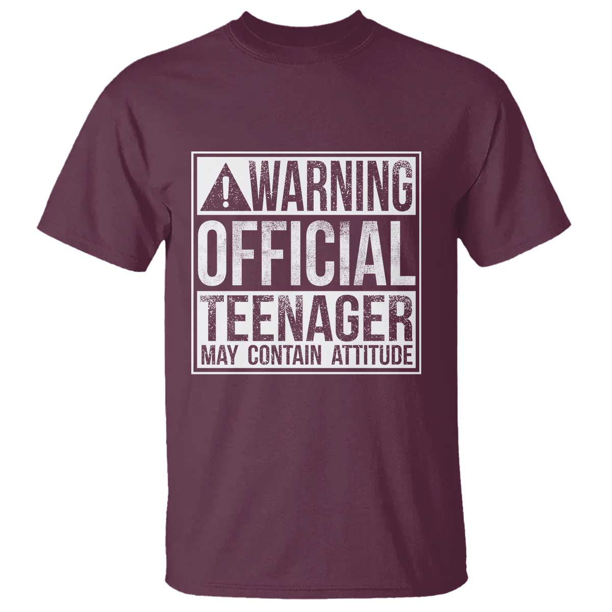 13th Birthday T Shirt Warning Official Teenager Boy 13yr