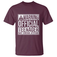 13th Birthday T Shirt Warning Official Teenager Boy 13yr