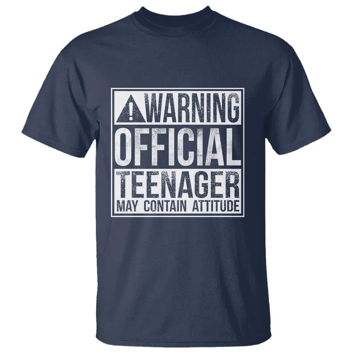 13th Birthday T Shirt Warning Official Teenager Boy 13yr
