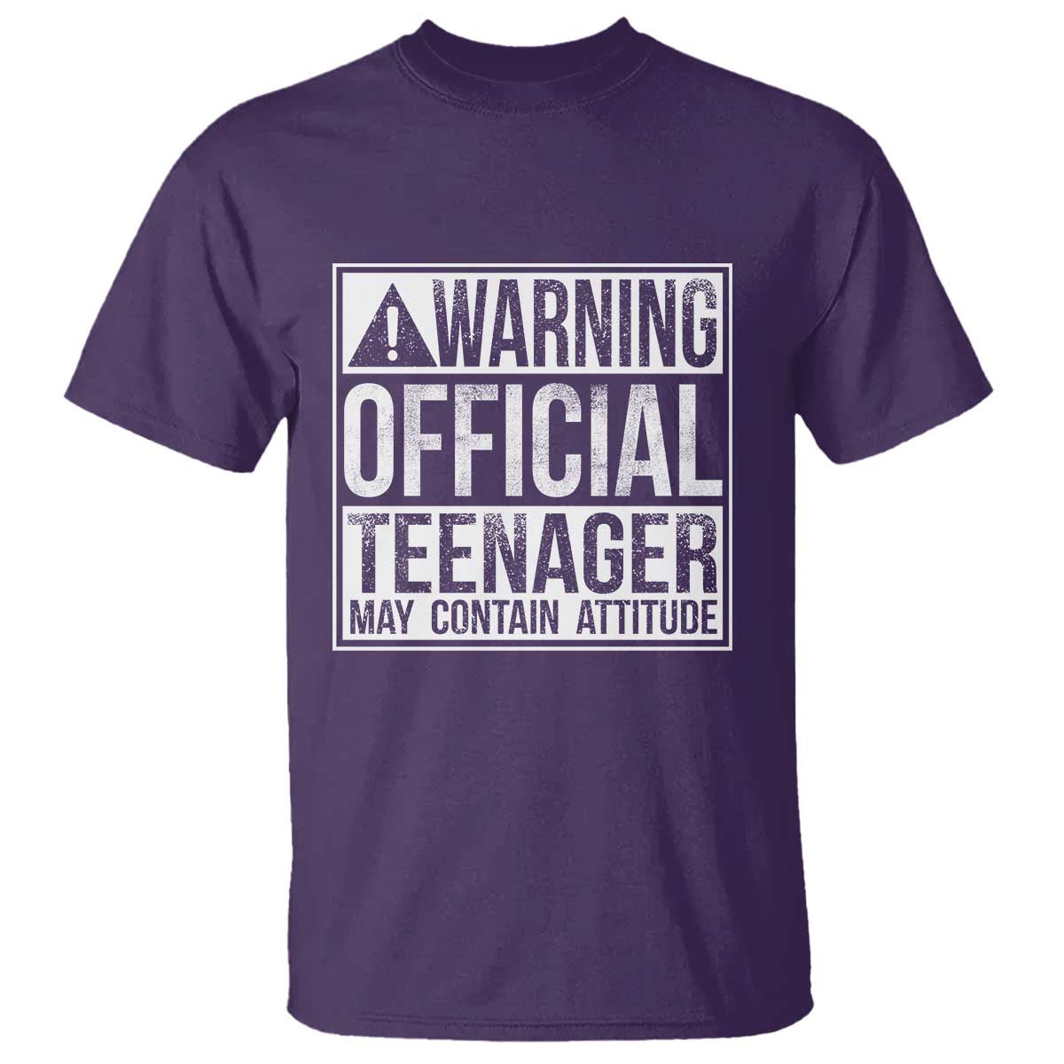 13th Birthday T Shirt Warning Official Teenager Boy 13yr