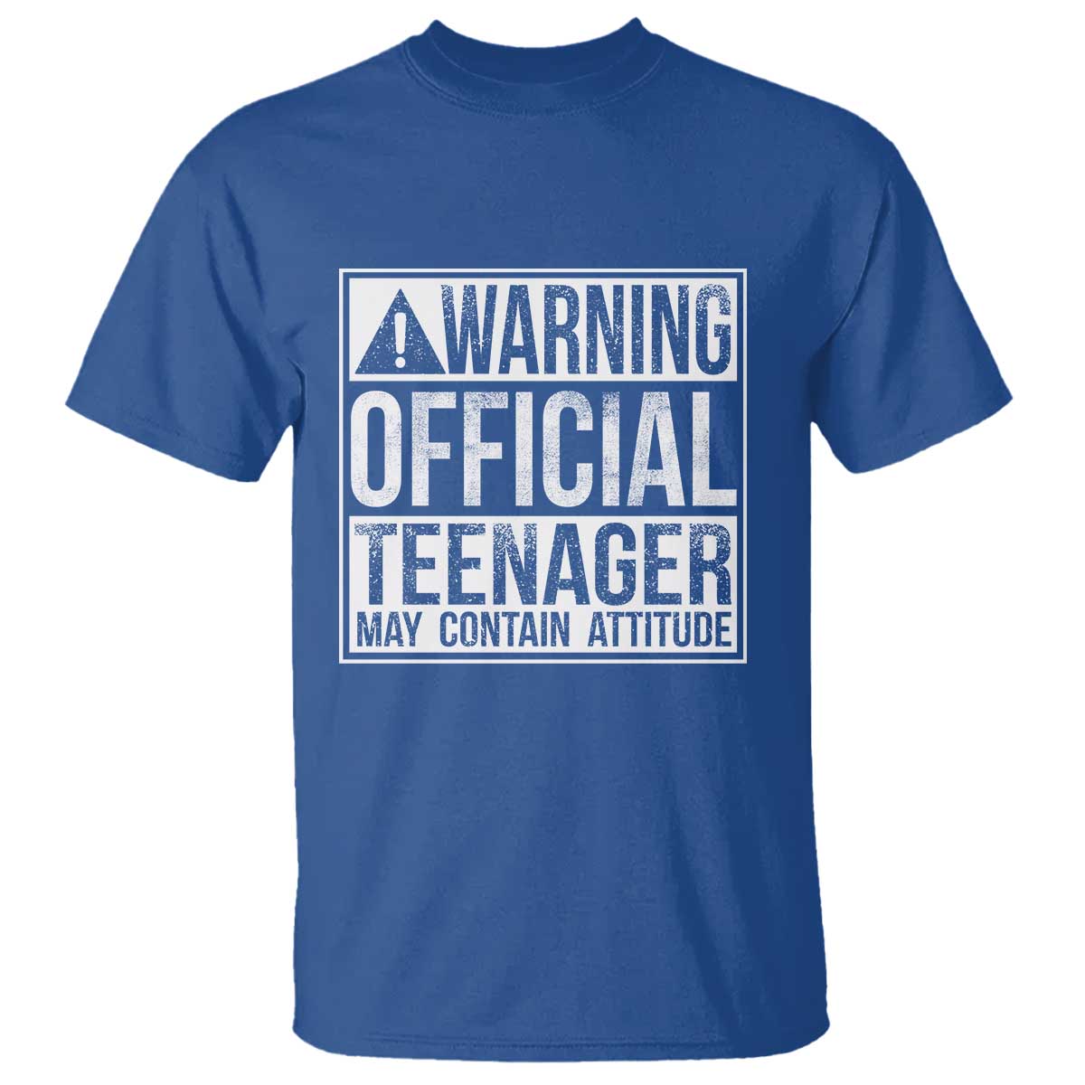 13th Birthday T Shirt Warning Official Teenager Boy 13yr
