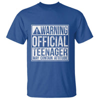 13th Birthday T Shirt Warning Official Teenager Boy 13yr