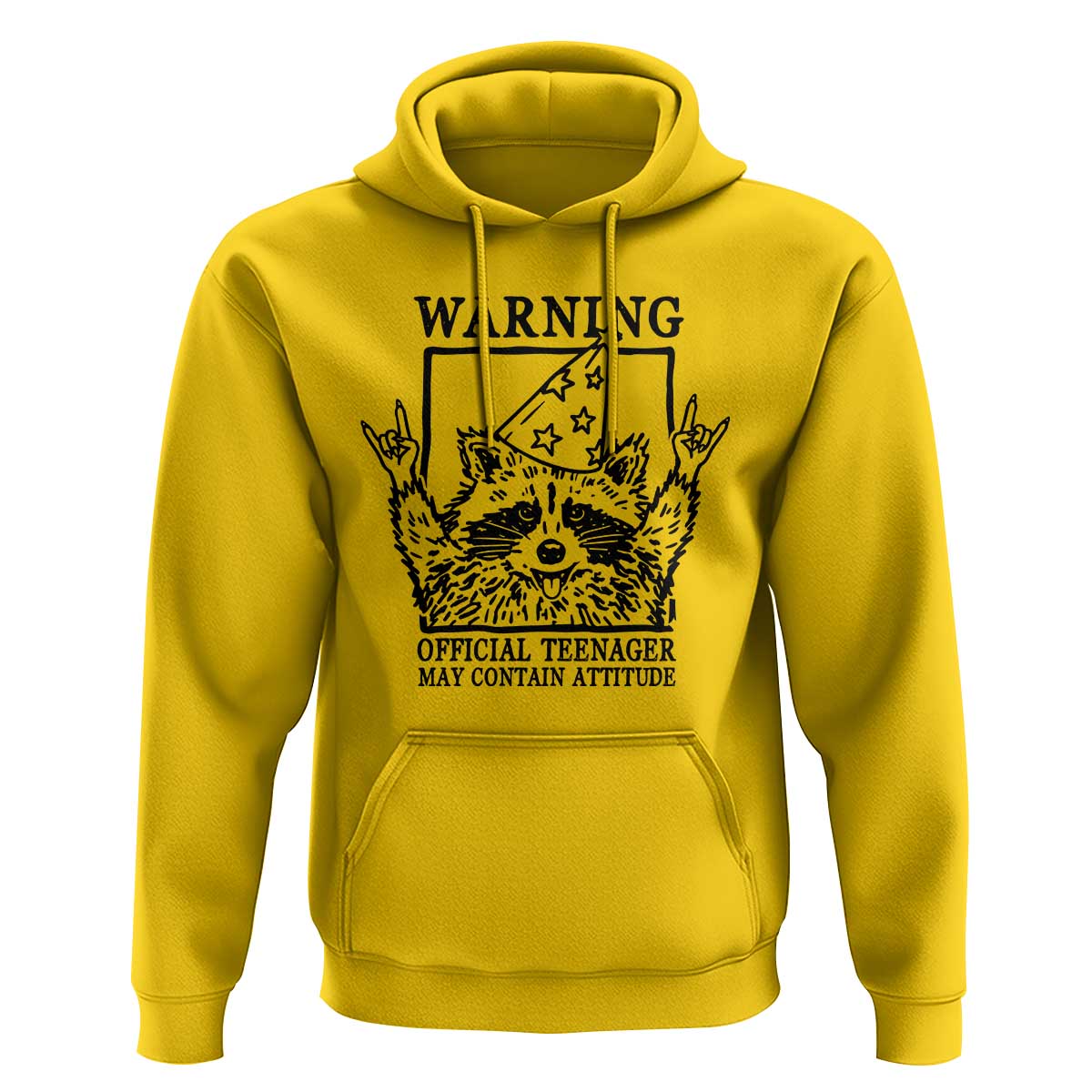 Vintage Raccoon 13th Birthday Hoodie 13 Year Old Official Teenager Gifts
