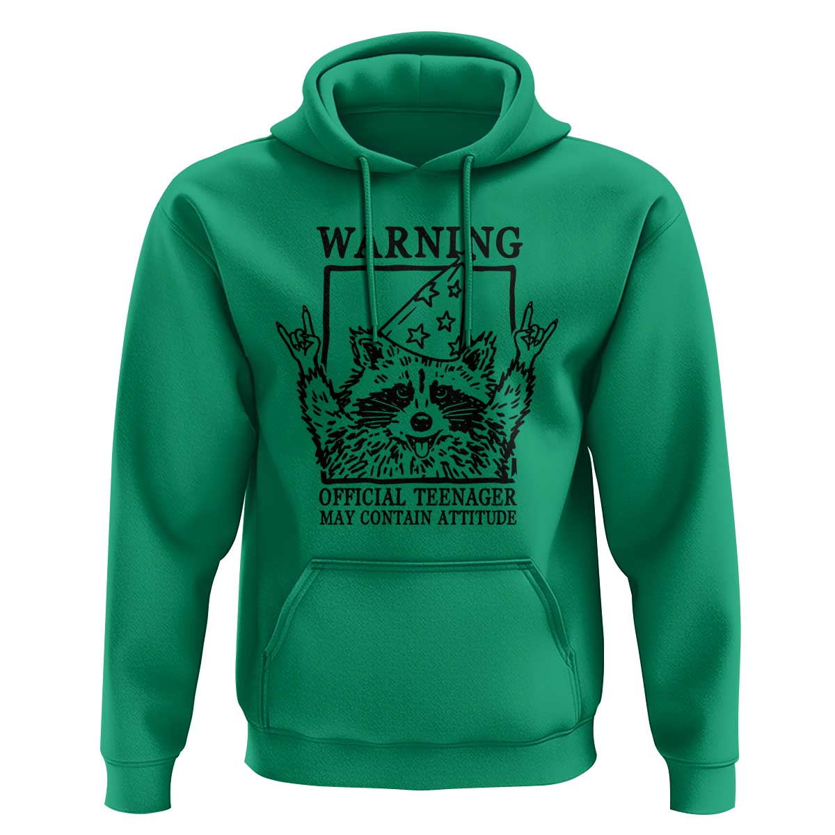 Vintage Raccoon 13th Birthday Hoodie 13 Year Old Official Teenager Gifts
