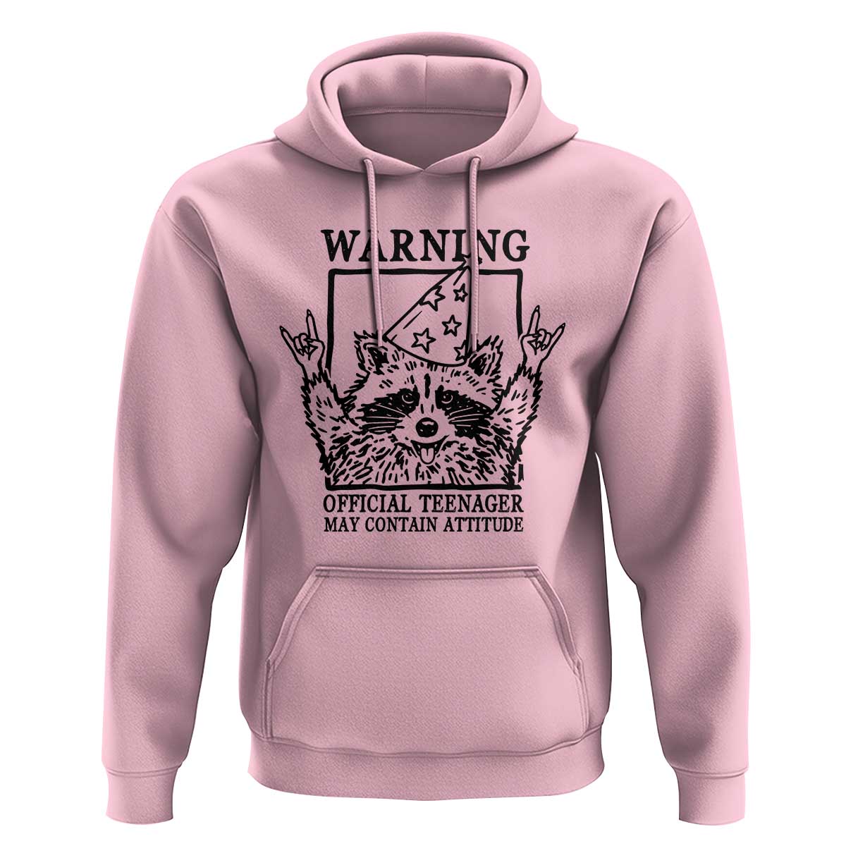 Vintage Raccoon 13th Birthday Hoodie 13 Year Old Official Teenager Gifts