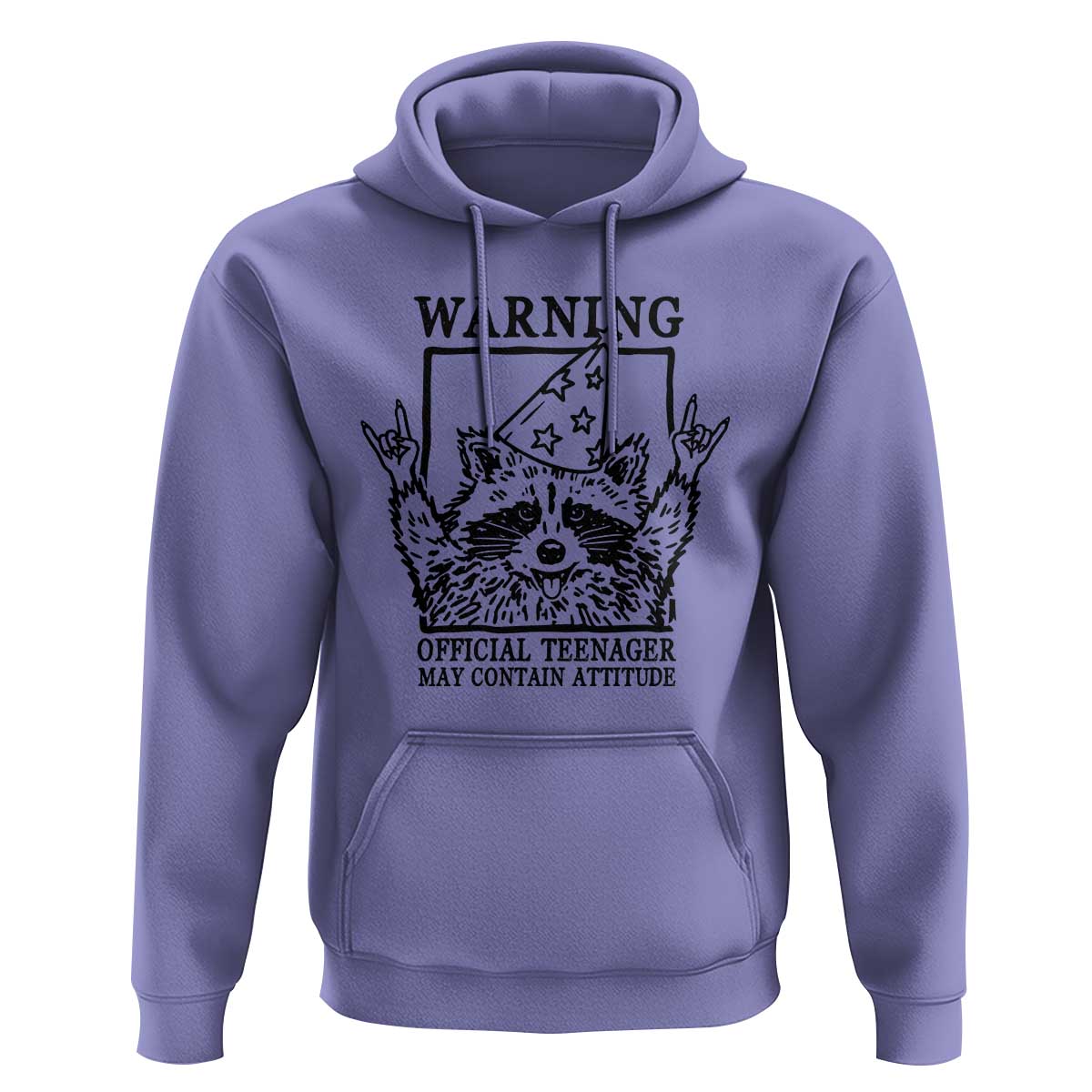 Vintage Raccoon 13th Birthday Hoodie 13 Year Old Official Teenager Gifts
