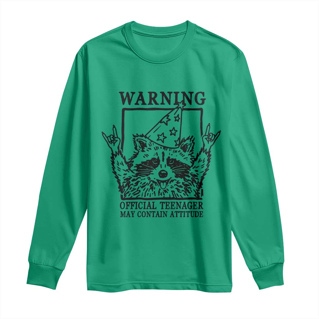 Vintage Raccoon 13th Birthday Long Sleeve Shirt 13 Year Old Official Teenager Gifts