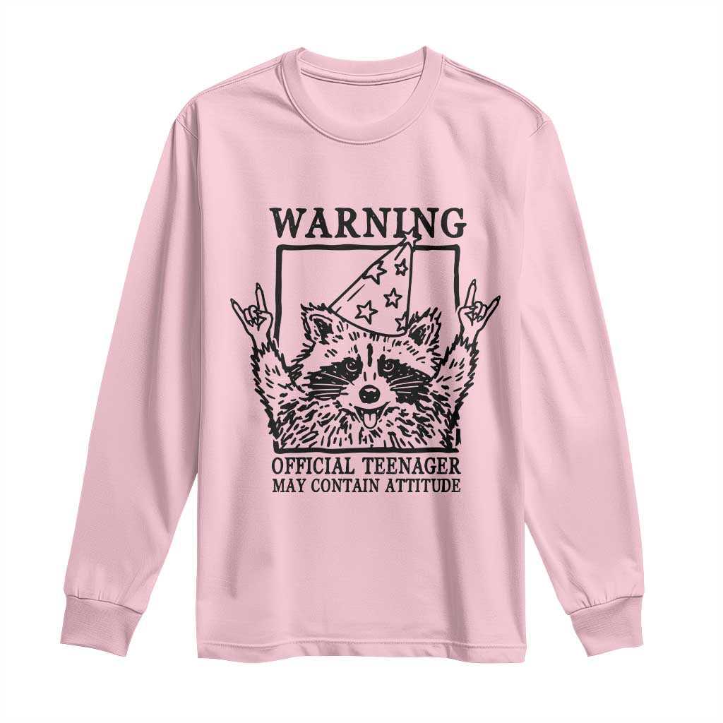 Vintage Raccoon 13th Birthday Long Sleeve Shirt 13 Year Old Official Teenager Gifts