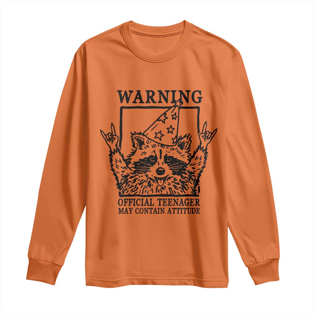 Vintage Raccoon 13th Birthday Long Sleeve Shirt 13 Year Old Official Teenager Gifts