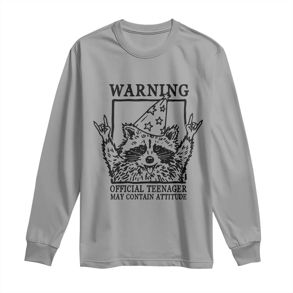 Vintage Raccoon 13th Birthday Long Sleeve Shirt 13 Year Old Official Teenager Gifts