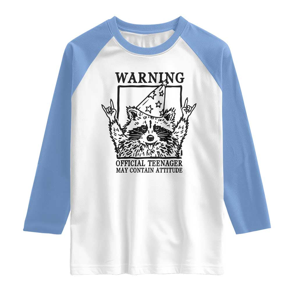 Vintage Raccoon 13th Birthday Raglan Shirt 13 Year Old Official Teenager Gifts