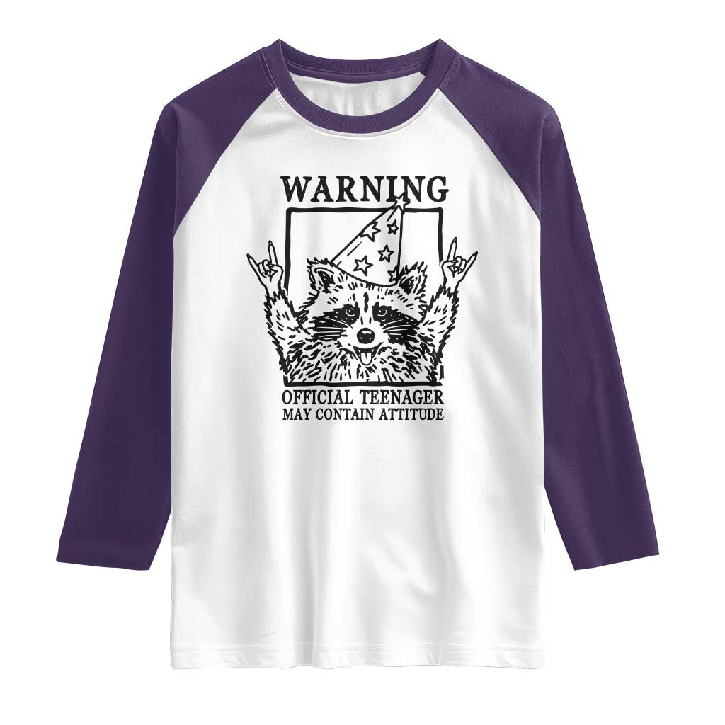 Vintage Raccoon 13th Birthday Raglan Shirt 13 Year Old Official Teenager Gifts