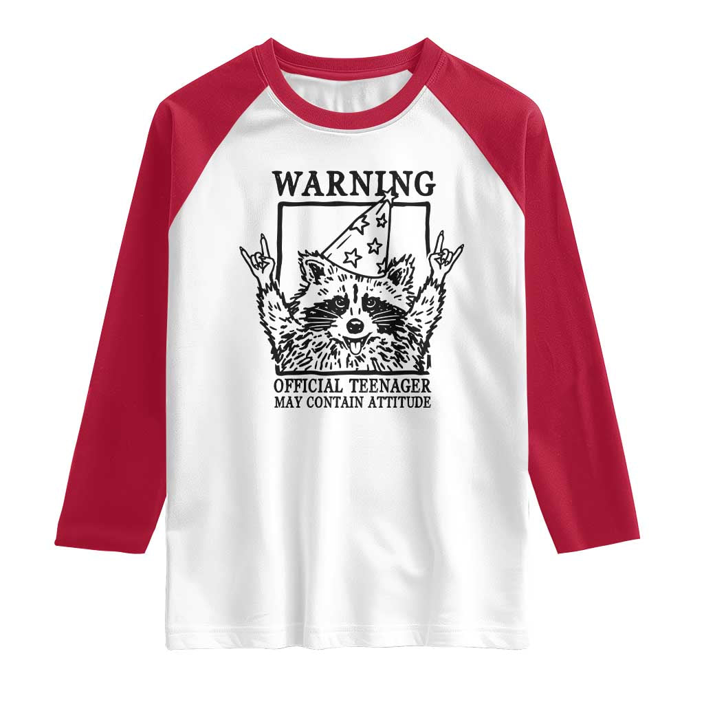 Vintage Raccoon 13th Birthday Raglan Shirt 13 Year Old Official Teenager Gifts