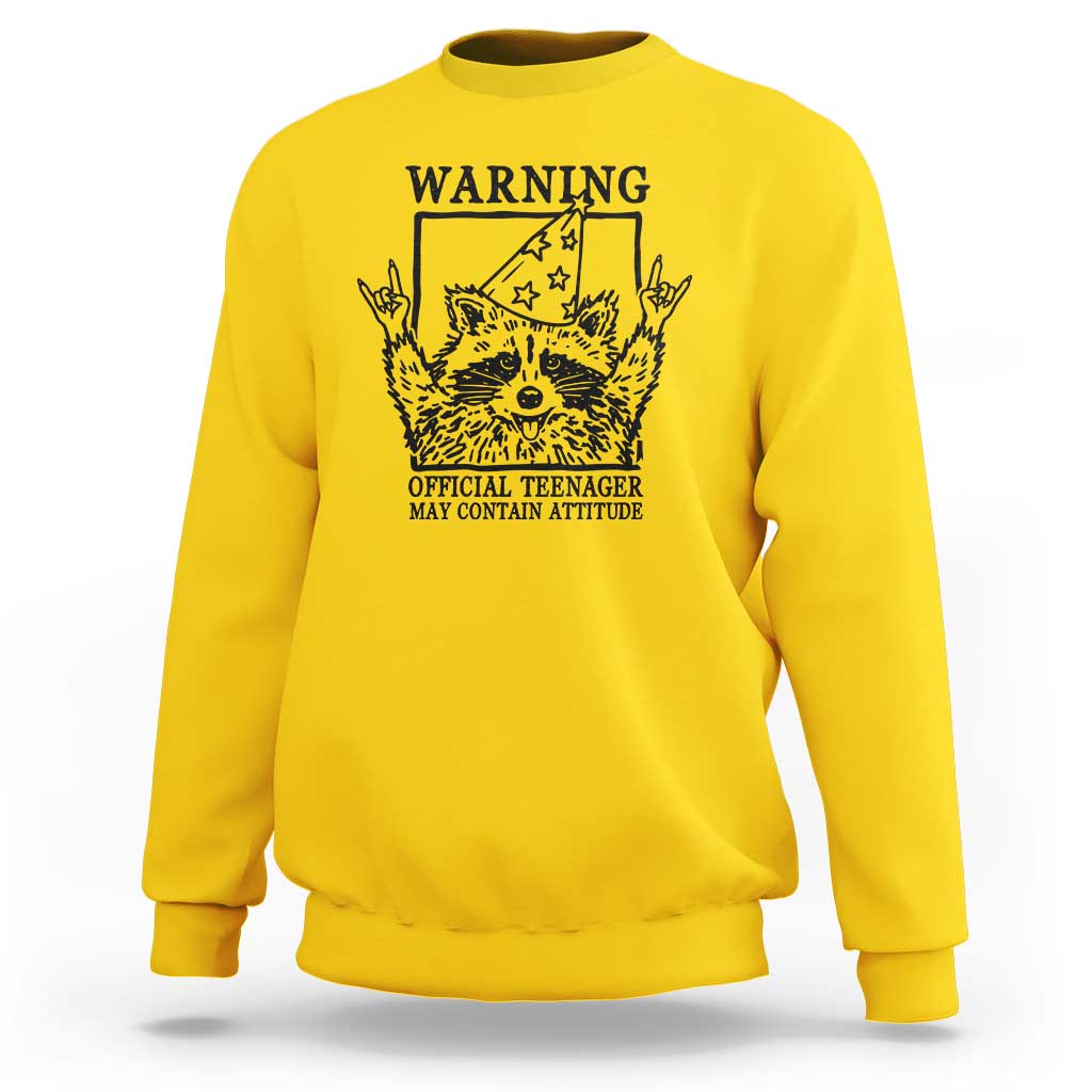 Vintage Raccoon 13th Birthday Sweatshirt 13 Year Old Official Teenager Gifts