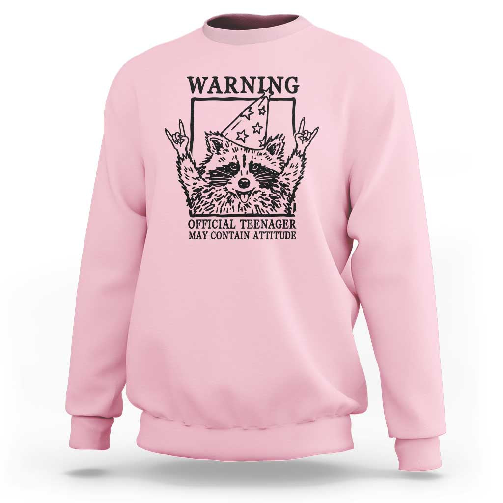 Vintage Raccoon 13th Birthday Sweatshirt 13 Year Old Official Teenager Gifts