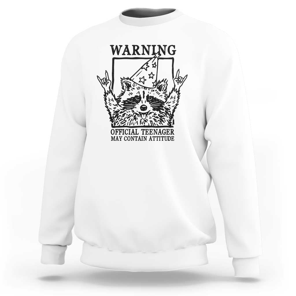 Vintage Raccoon 13th Birthday Sweatshirt 13 Year Old Official Teenager Gifts