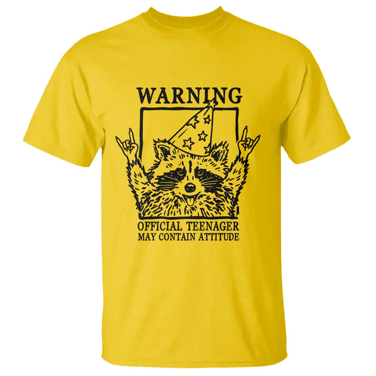 Vintage Raccoon 13th Birthday T Shirt 13 Year Old Official Teenager Gifts