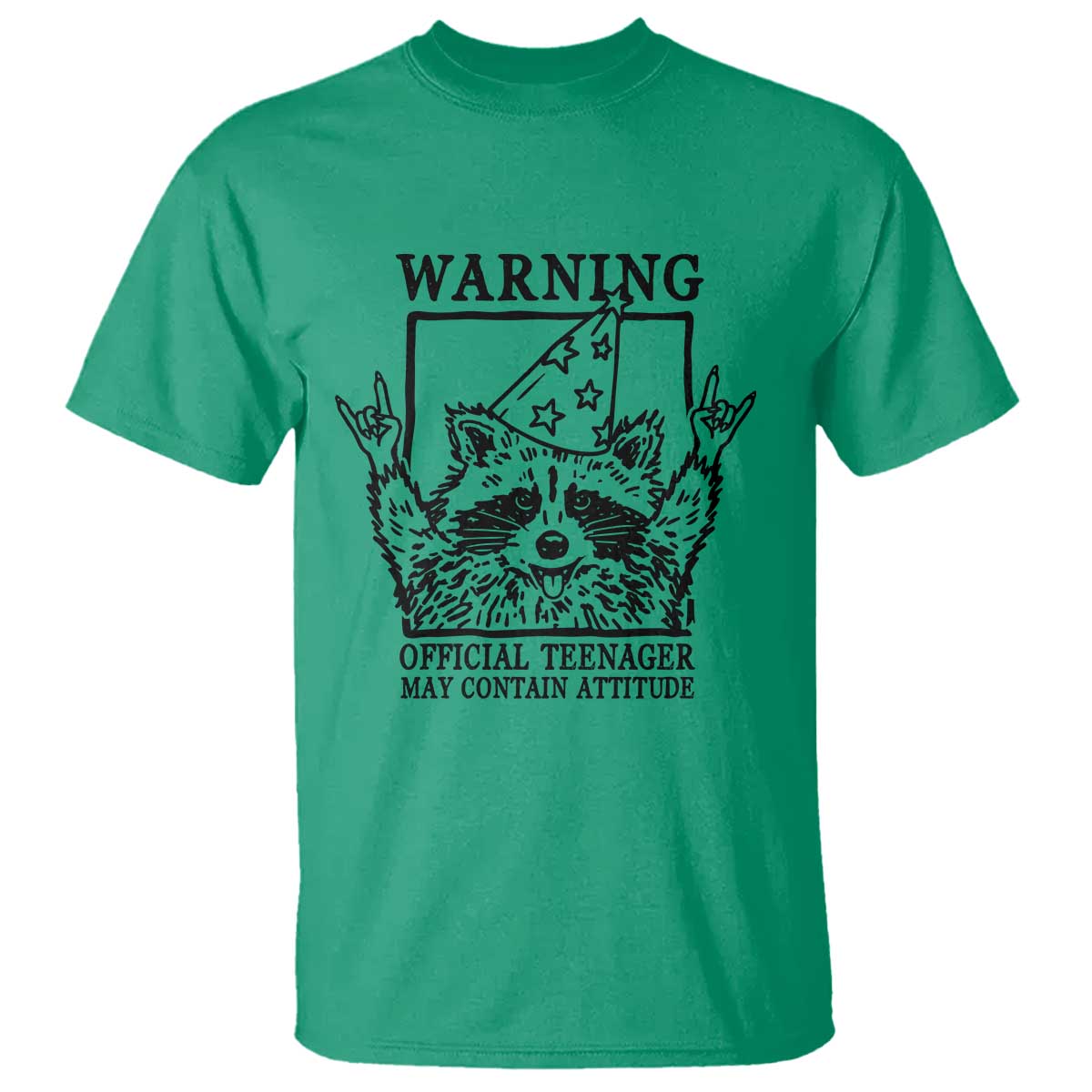 Vintage Raccoon 13th Birthday T Shirt 13 Year Old Official Teenager Gifts