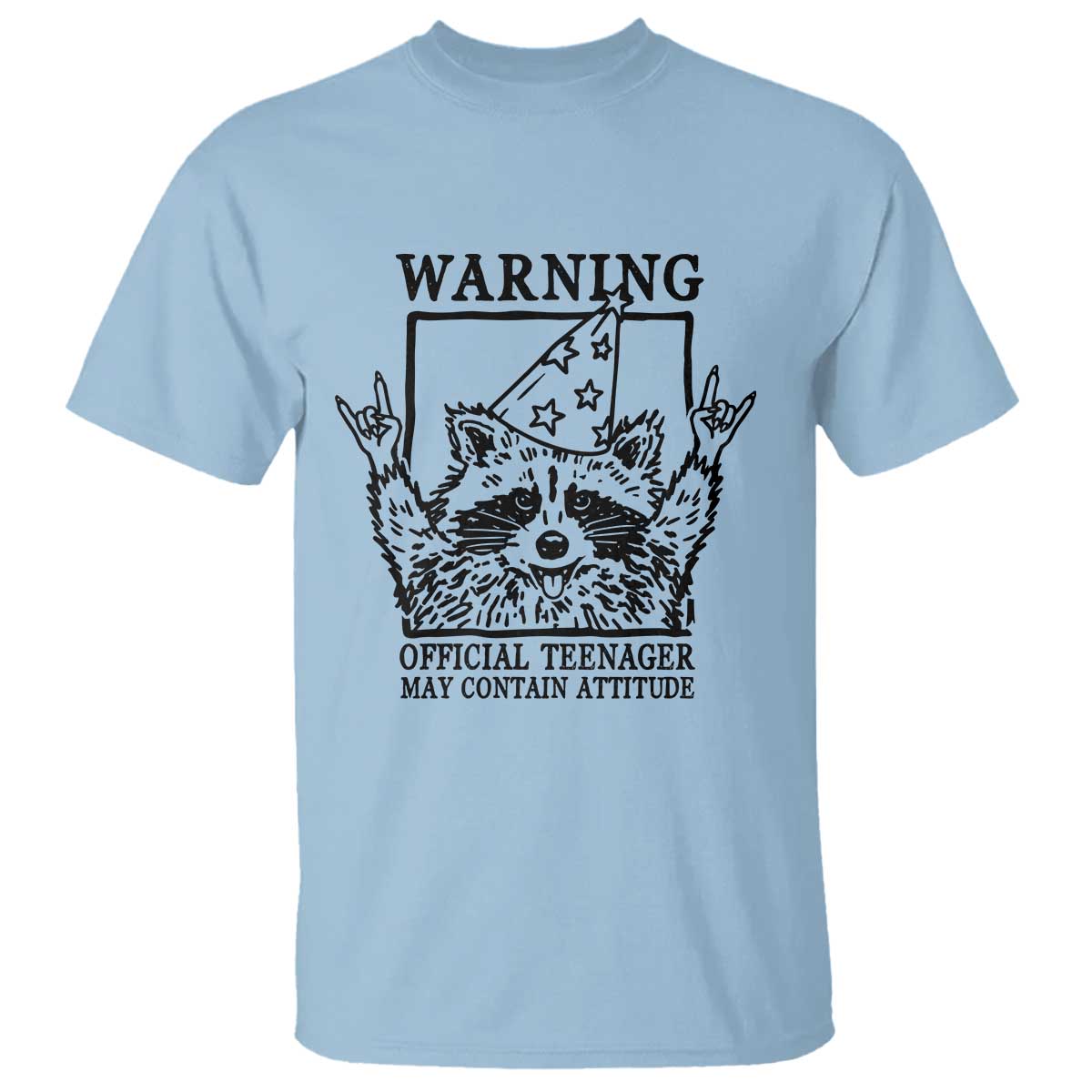 Vintage Raccoon 13th Birthday T Shirt 13 Year Old Official Teenager Gifts