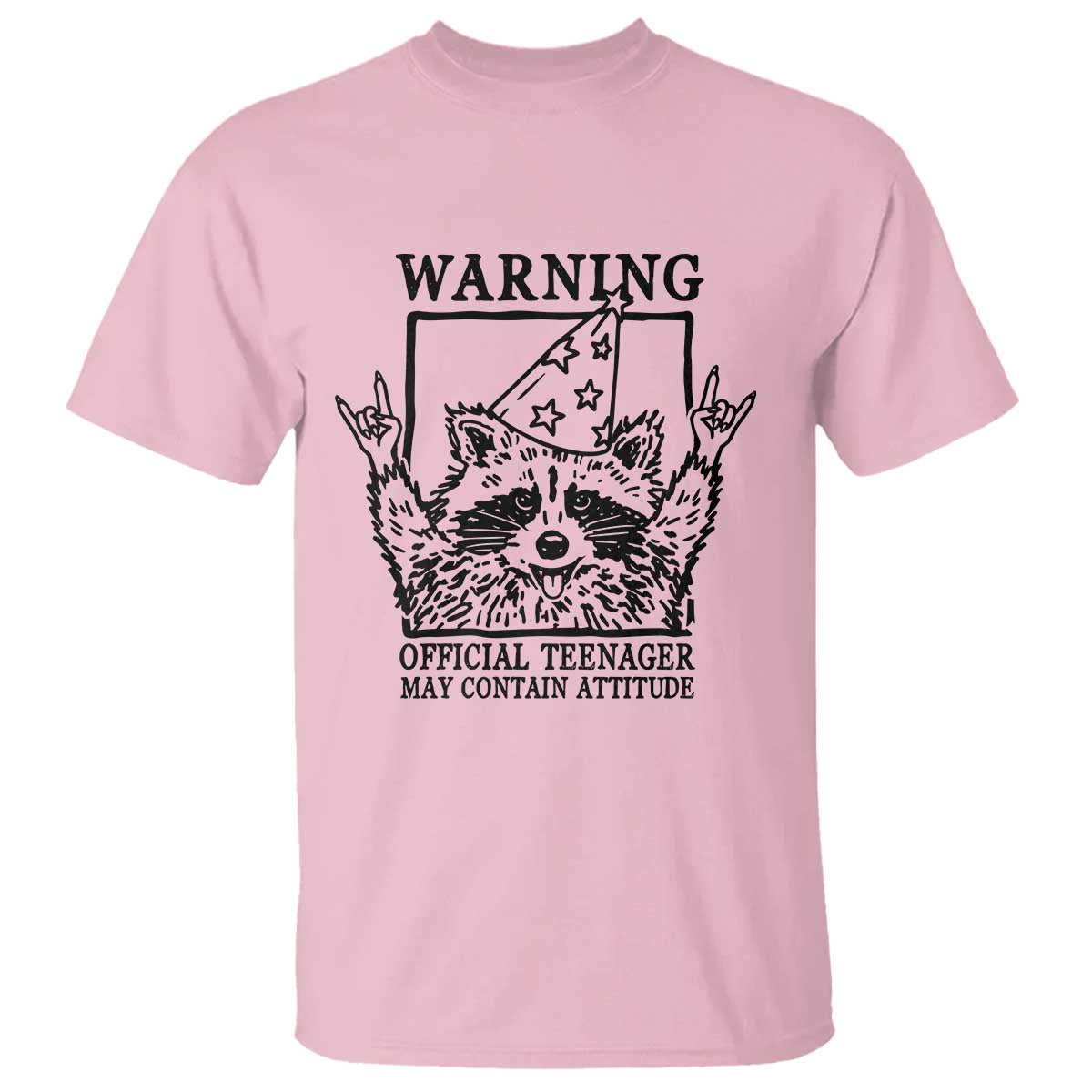 Vintage Raccoon 13th Birthday T Shirt 13 Year Old Official Teenager Gifts
