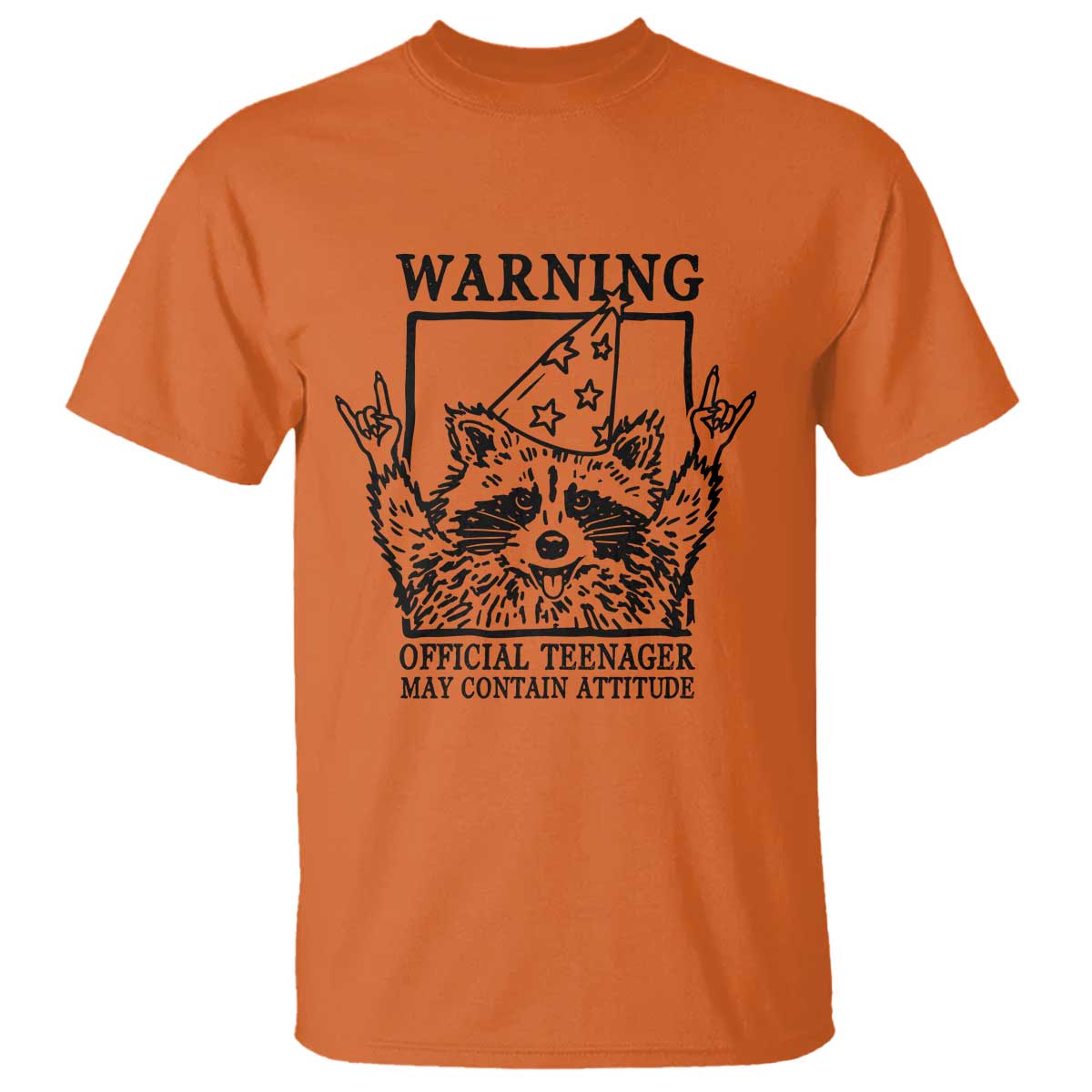 Vintage Raccoon 13th Birthday T Shirt 13 Year Old Official Teenager Gifts