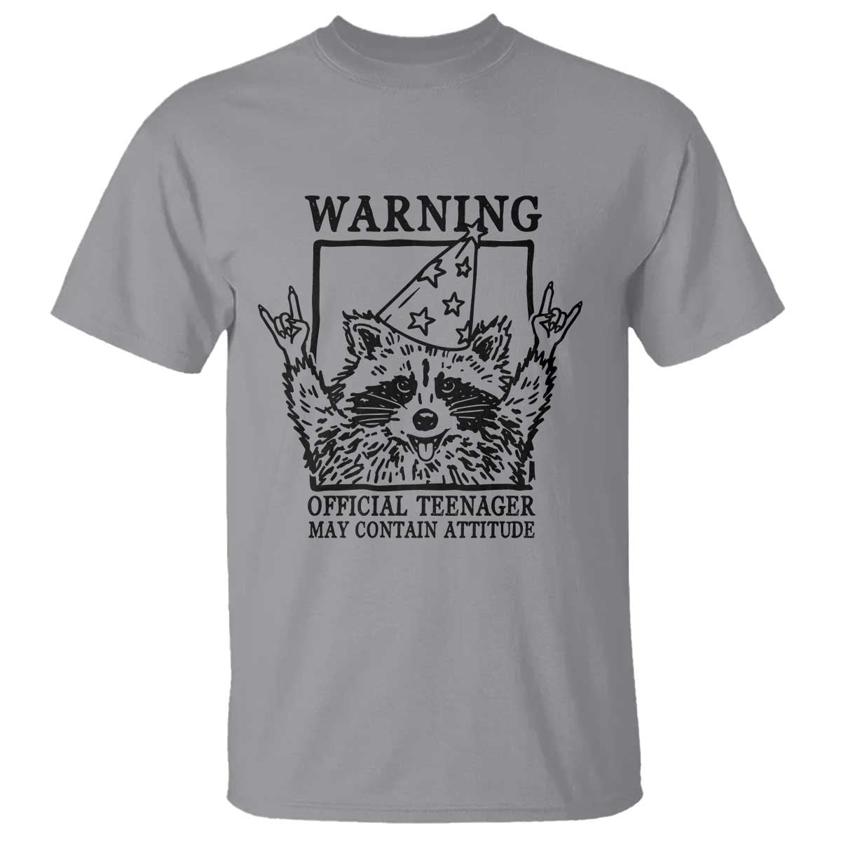 Vintage Raccoon 13th Birthday T Shirt 13 Year Old Official Teenager Gifts