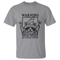 Vintage Raccoon 13th Birthday T Shirt 13 Year Old Official Teenager Gifts