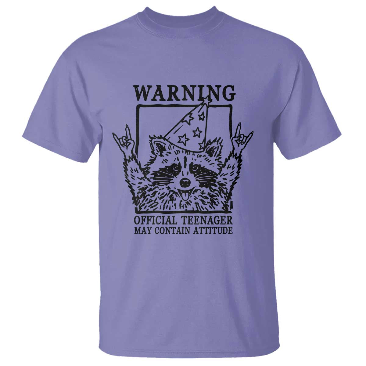 Vintage Raccoon 13th Birthday T Shirt 13 Year Old Official Teenager Gifts