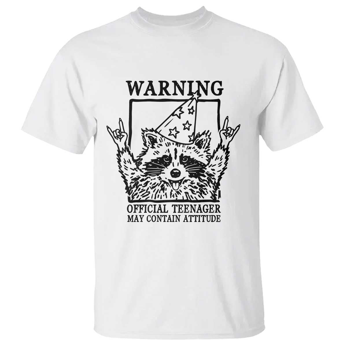 Vintage Raccoon 13th Birthday T Shirt 13 Year Old Official Teenager Gifts