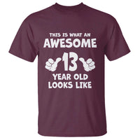 13th Birthday T Shirt Awesome 14 Year Old Looks Like
