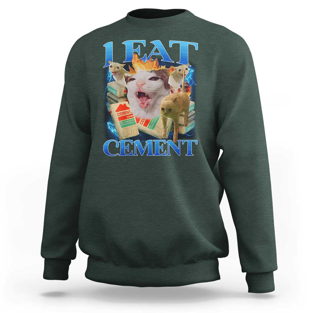 I Eat Cement Cursed Cat Sweatshirt Funny Cat Meme Ironic - Wonder Print Shop