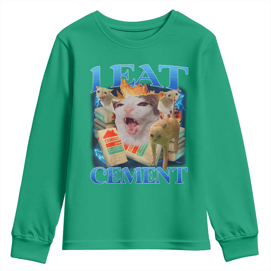 I Eat Cement Cursed Cat Youth Sweatshirt Funny Cat Meme Ironic - Wonder Print Shop