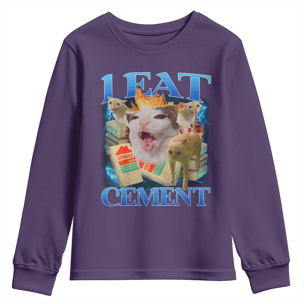 I Eat Cement Cursed Cat Youth Sweatshirt Funny Cat Meme Ironic - Wonder Print Shop