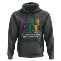 Mardi Gras Hoodie Let The Shenanigans Begin Juggling Skeleton