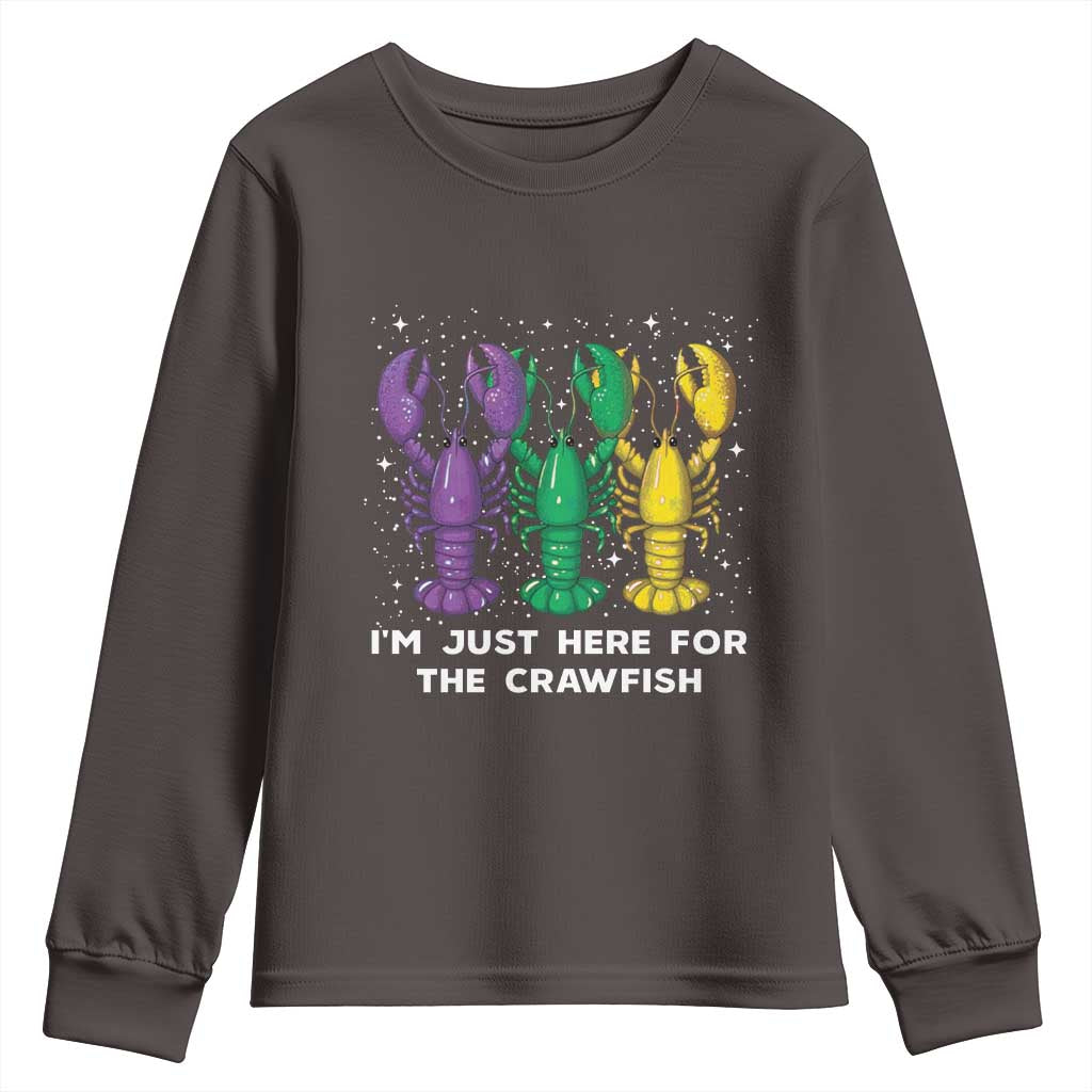 Carnival Mardi Gras Youth Sweatshirt I'm Just Here For The Crawfish