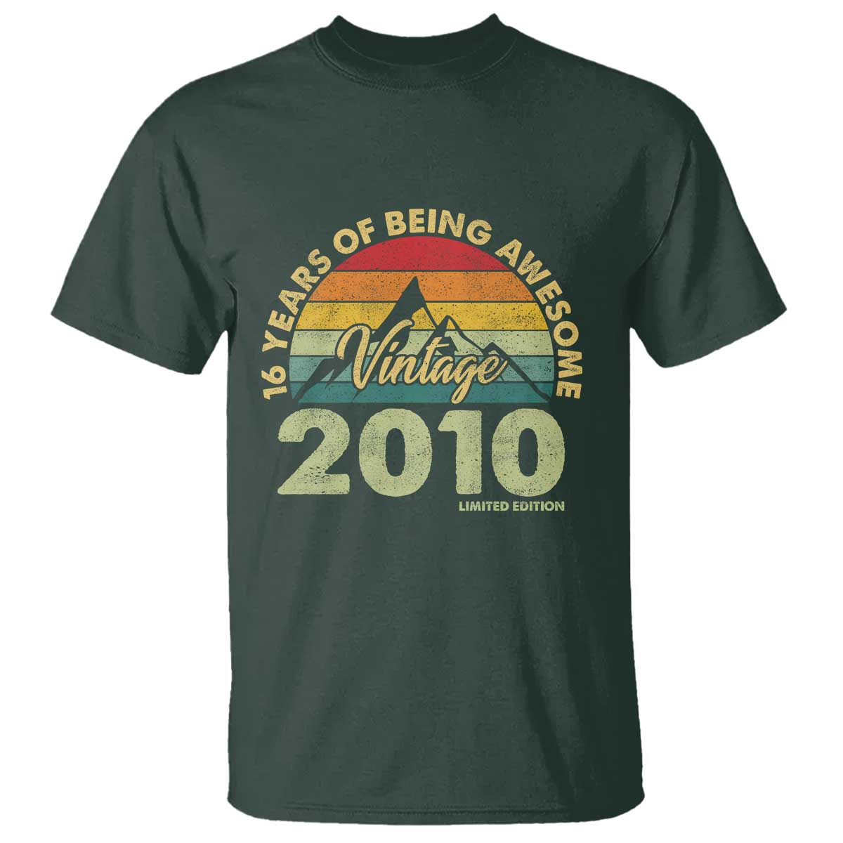 16th Birthday T Shirt Vintage 2010 Limited Edition 16 Year Old Gift