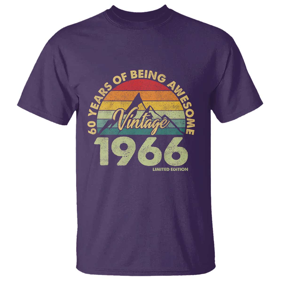 60th Birthday T Shirt Vintage 1966 Limited Edition 60 Year Old Gift