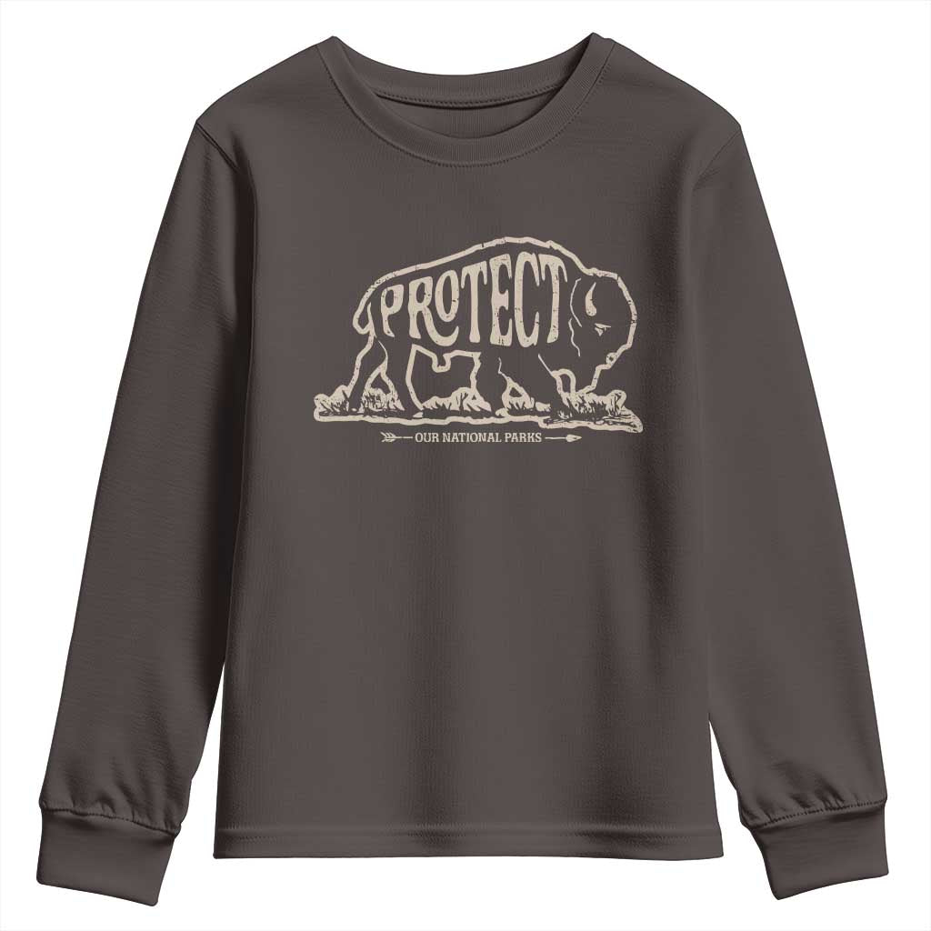 Protect Our National Parks Youth Sweatshirt Bison Buffalo Vintage