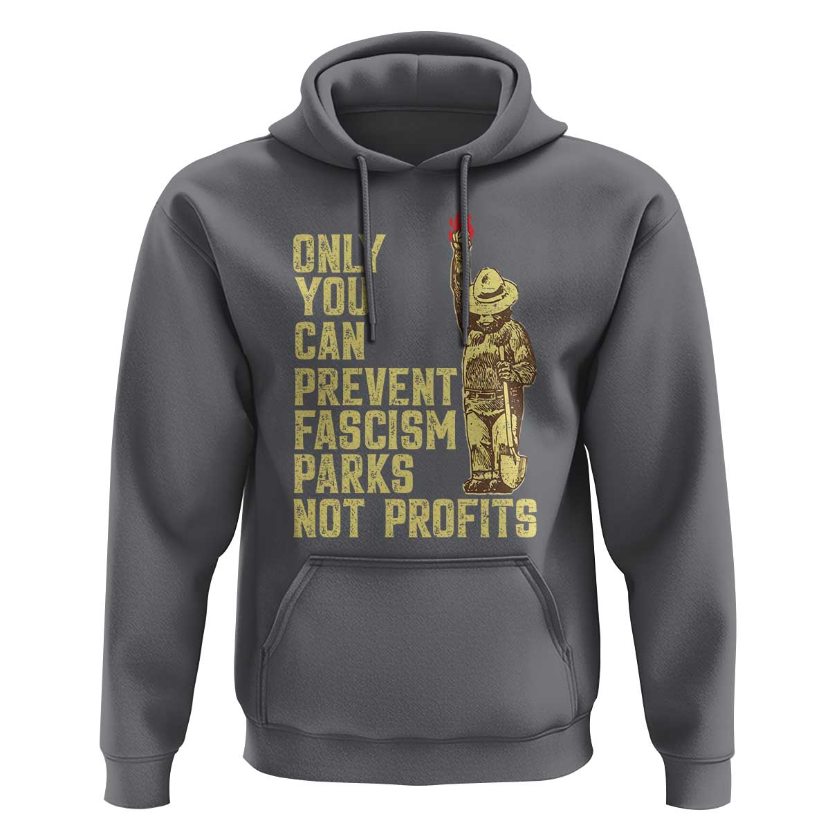 Protect Our National Parks Hoodie Bear Progressive Funny Gift