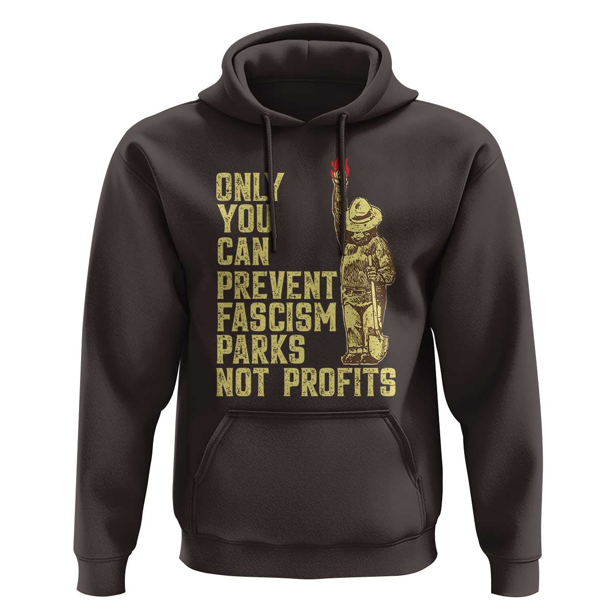 Protect Our National Parks Hoodie Bear Progressive Funny Gift