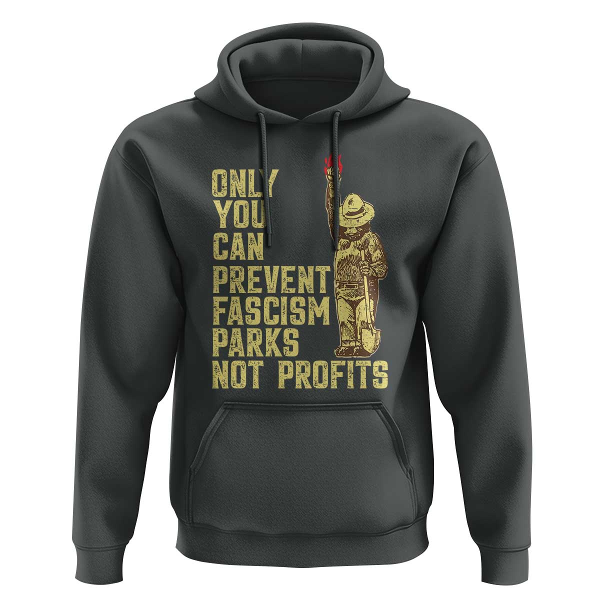 Protect Our National Parks Hoodie Bear Progressive Funny Gift